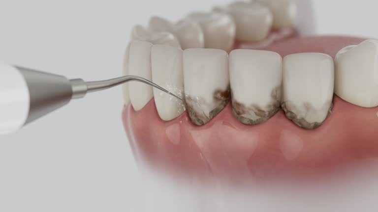 Reliable Dental contractor in Pleasant Hill, MS by Dentist Open Now